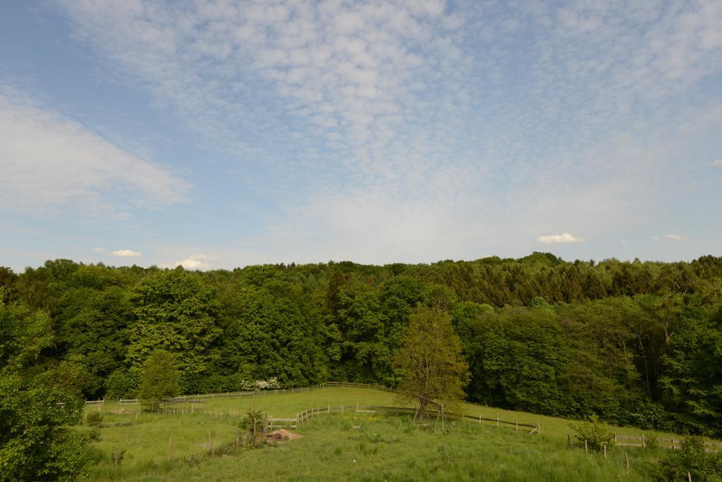 Quiet Nature Near Cologne 1 Bergisch Gladbach Exterior foto